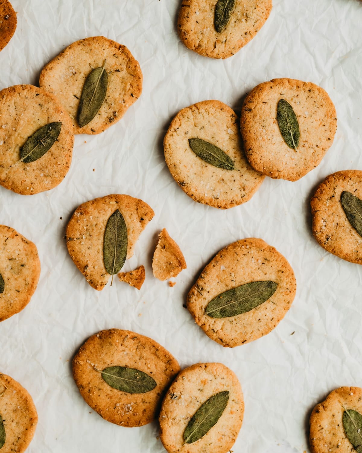 Serving Parmesan Sage Shortbread Appetizer Cookies