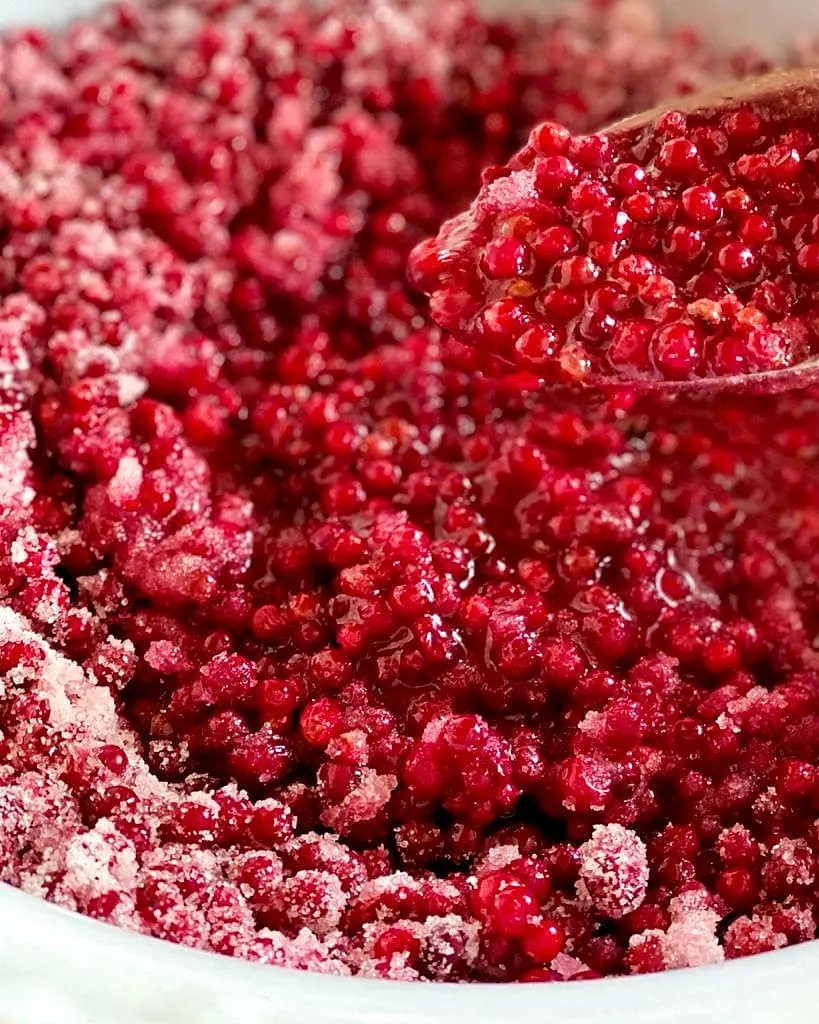 Homemade Tart Lingonberry Jam Recipe, close-up