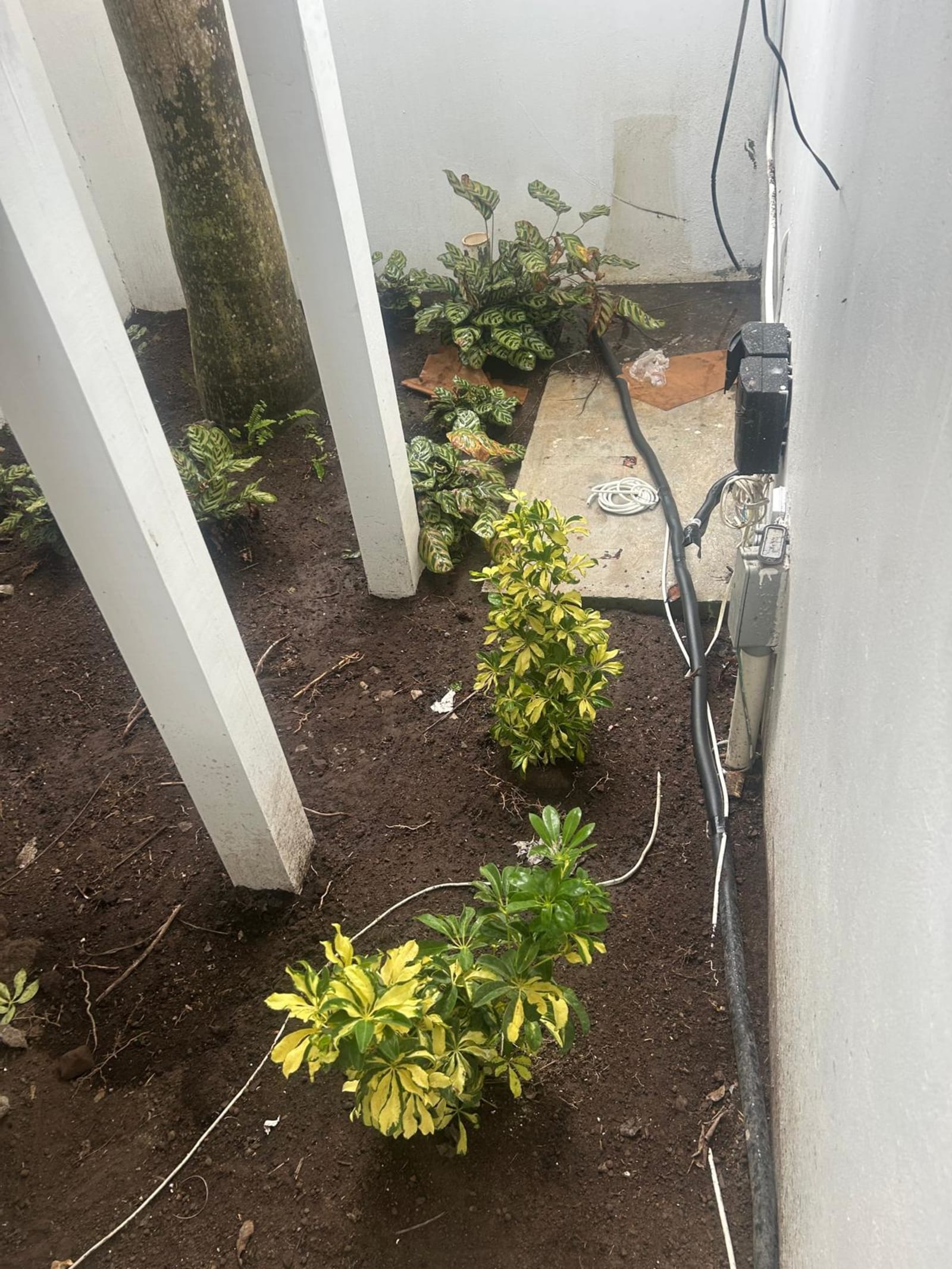 Kamal and Sons landscaping project photo 10