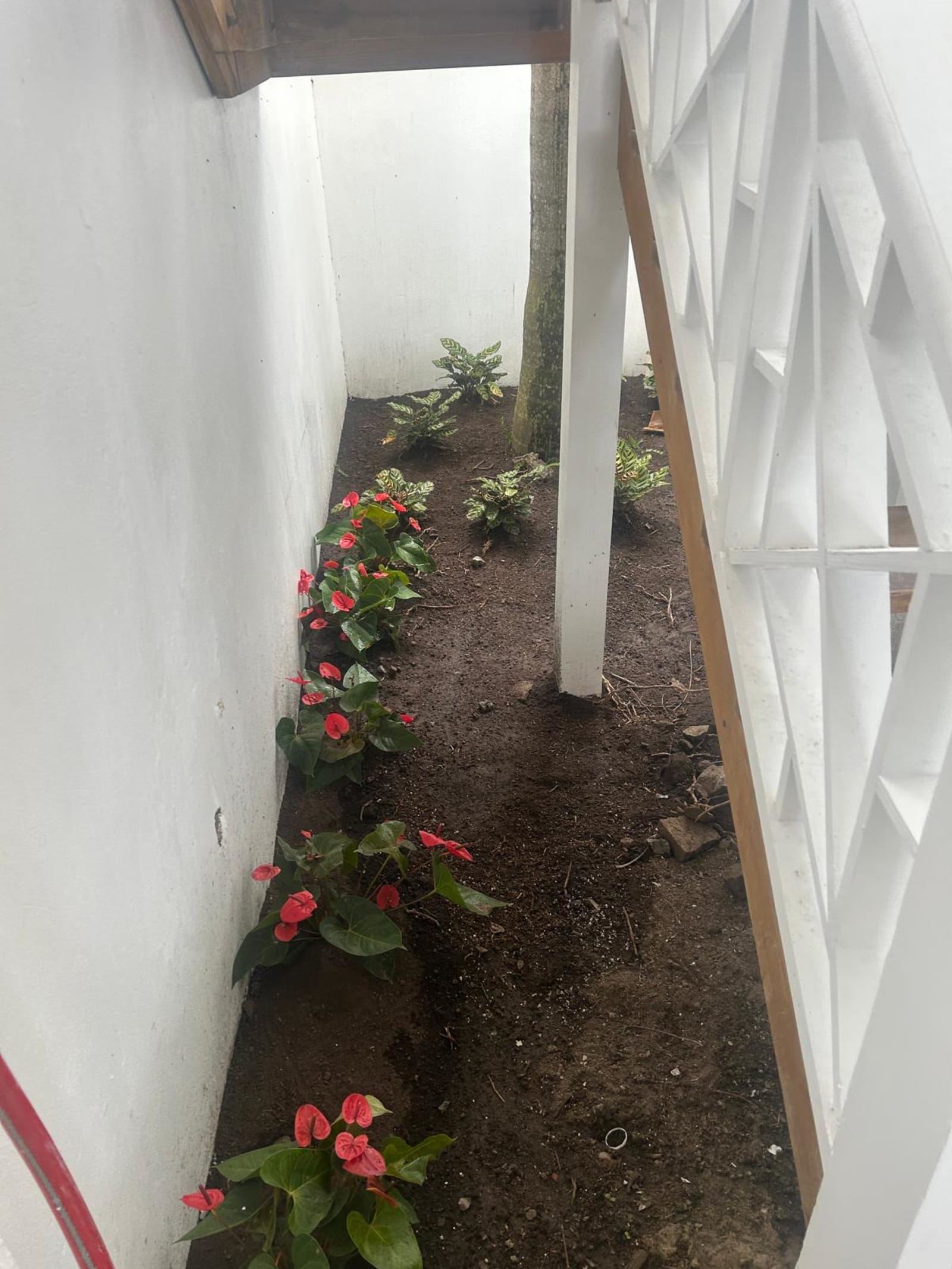 Kamal and Sons landscaping project photo 11