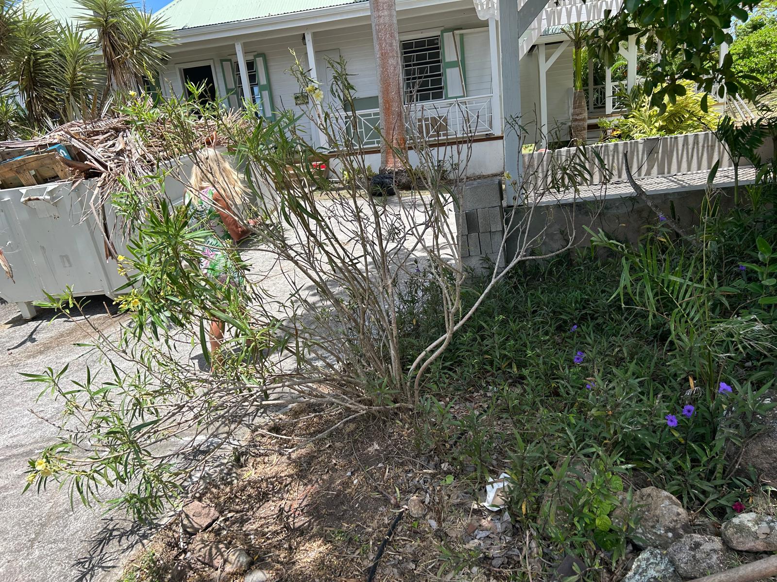 Kamal and Sons landscaping project photo 7