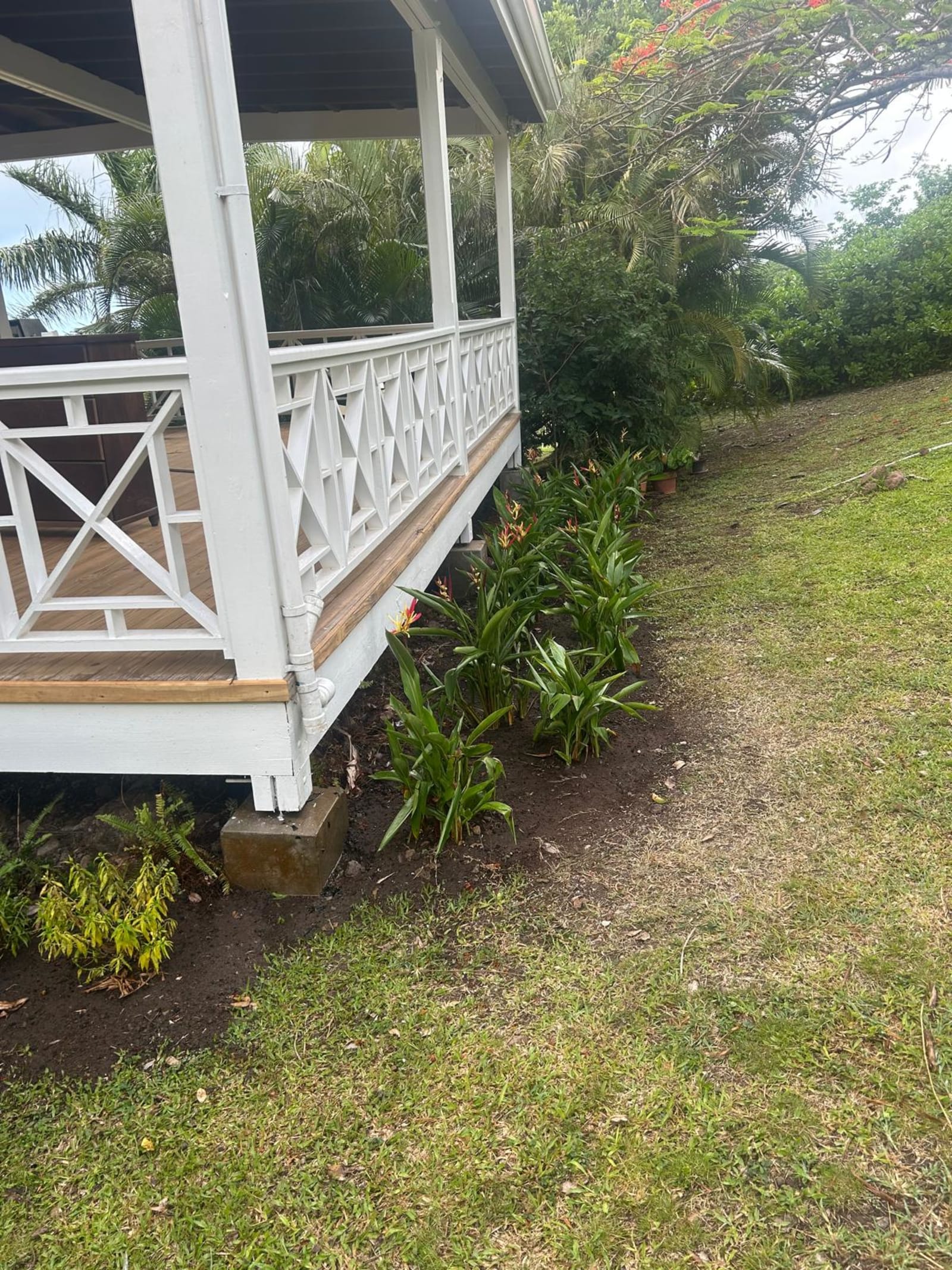 Kamal and Sons landscaping project photo 15