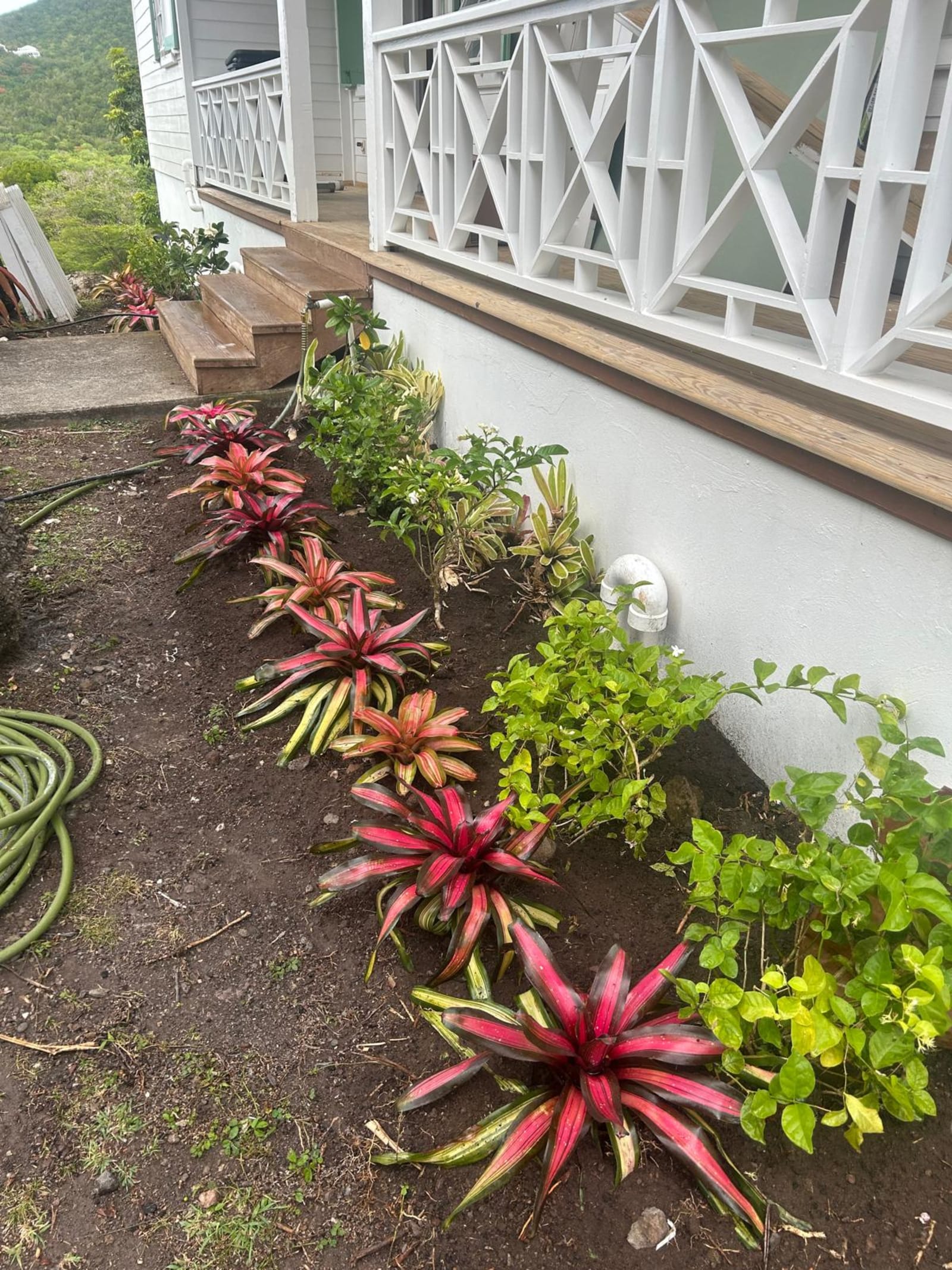 Kamal and Sons landscaping project photo 21