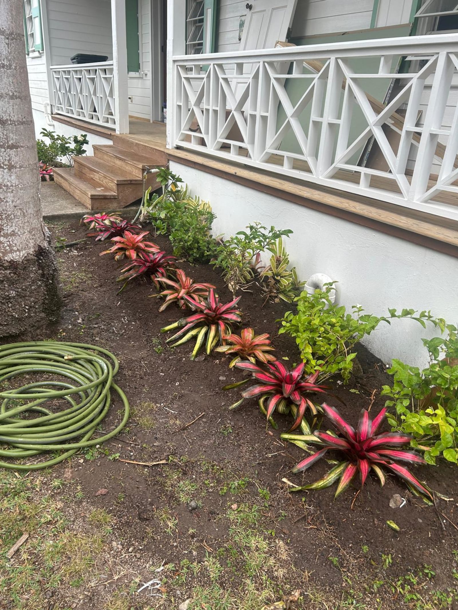 Kamal and Sons landscaping project photo 23