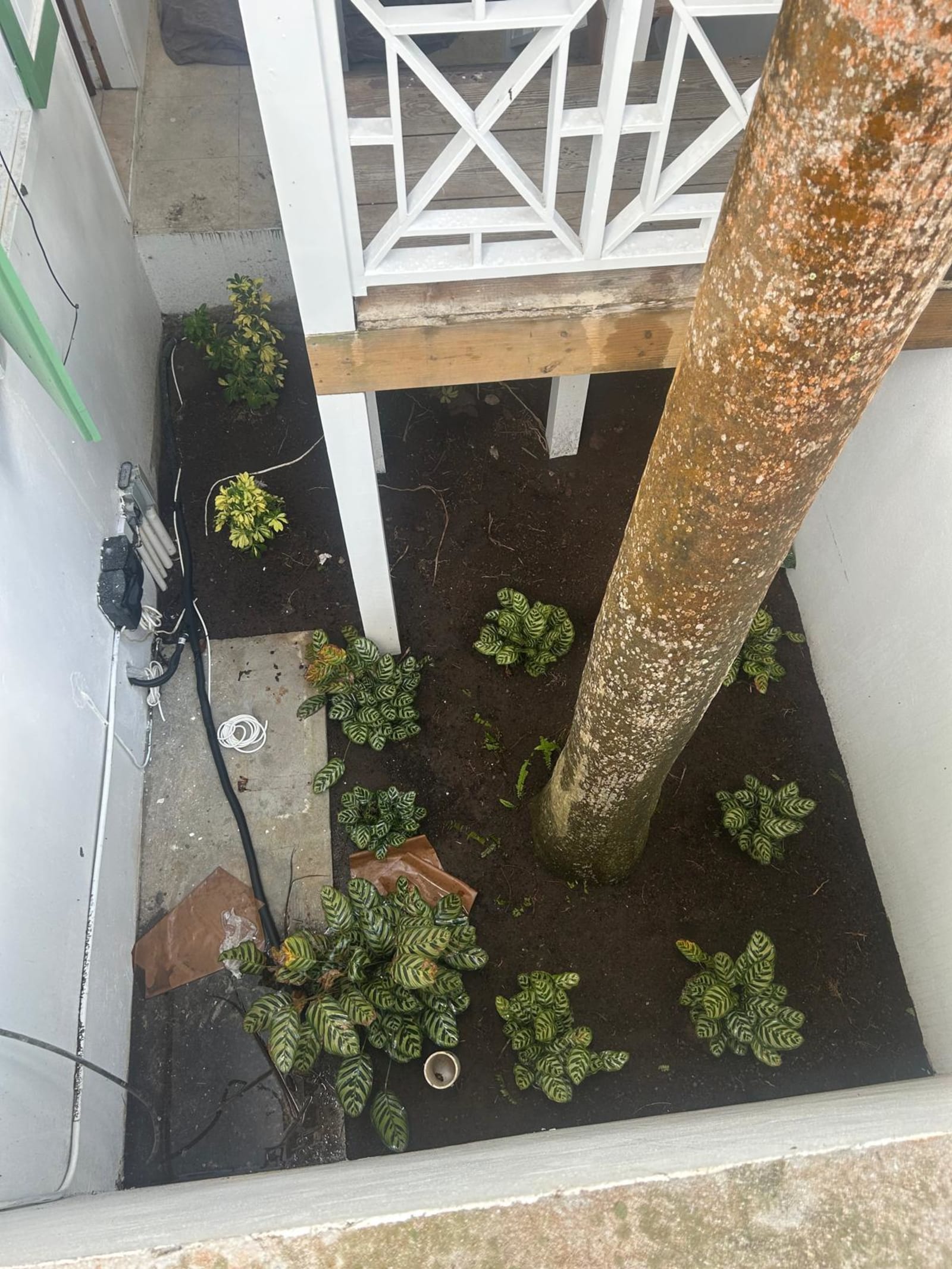 Kamal and Sons landscaping project photo 16