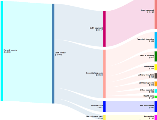 cash flow Sankey Diagram