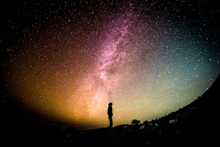 Life Expectancy Calculator