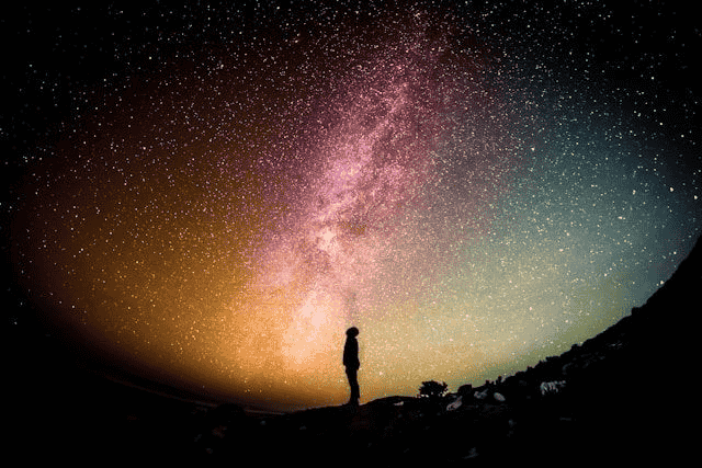 Life Expectancy Calculator