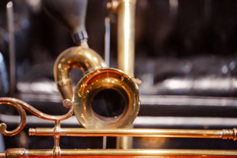 Bulb horn