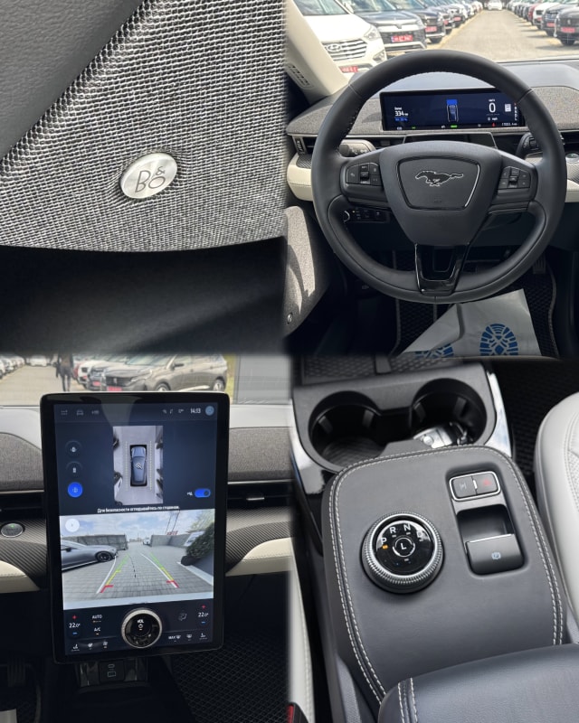 Ford Mustang Mach-E 4x - фото 9