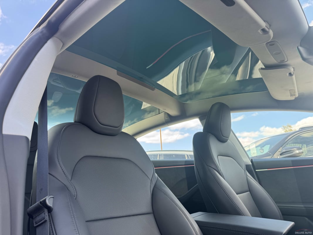 Tesla Model 3 Dual Motor - фото 9