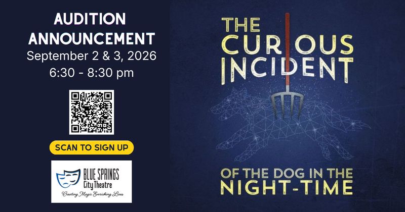 Poster for The Curious Incident of the Dog in the Night-Time