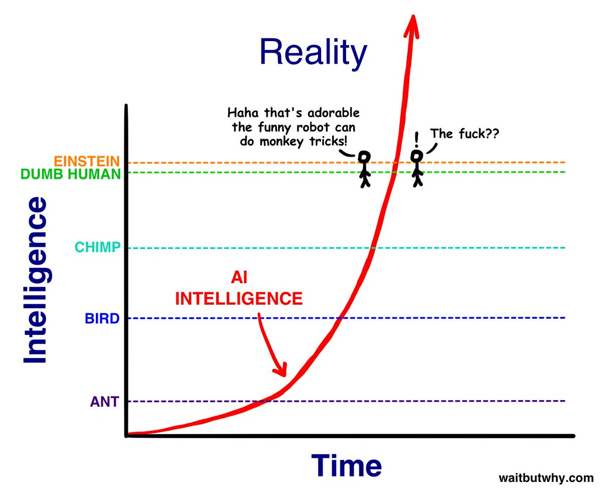 AI Intelligence over time - Wait But Why