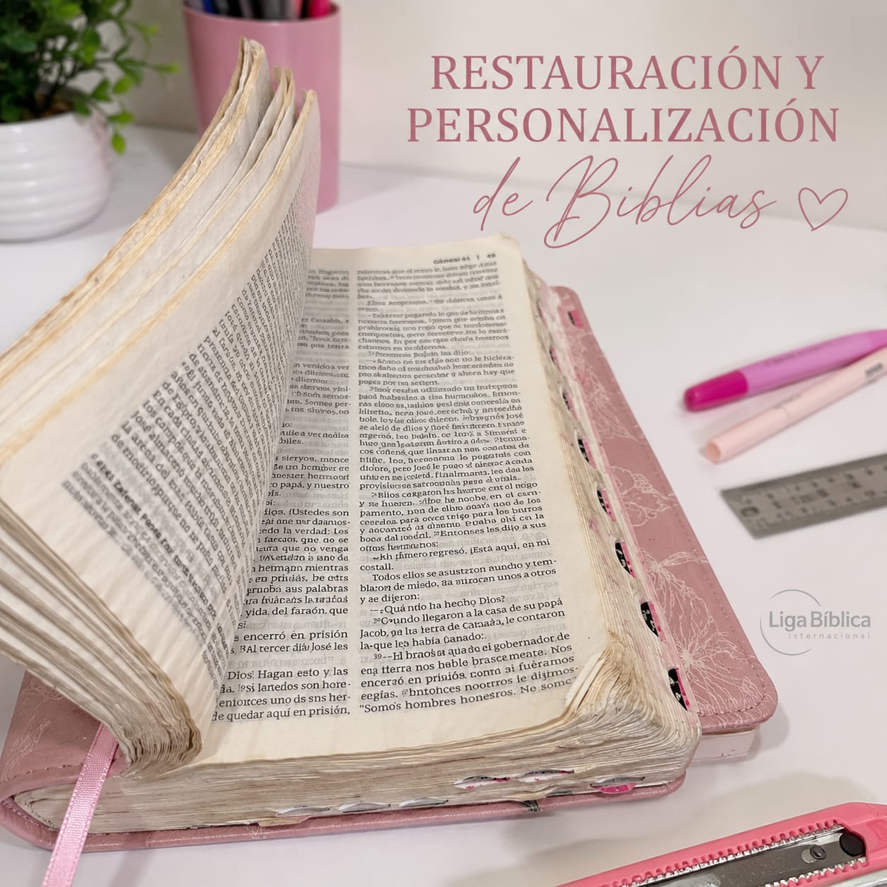 Restauración y Personalización de Biblias | RUAH