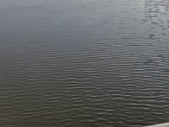 Трагедия на реке Борисовка: утонул турист из Подмосковья