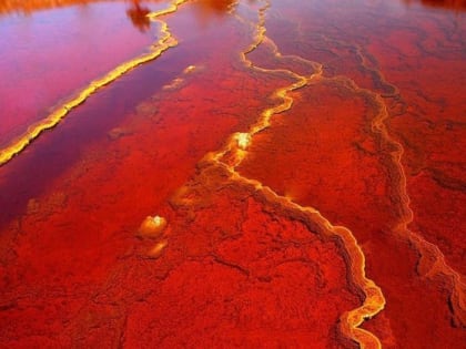 Астраханская стивидорная компания заплатит 5 миллионов за загрязнение реки Бахтемир