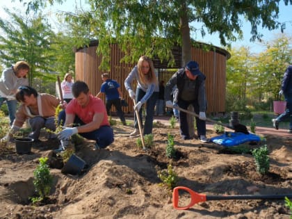 Благоустройство сквера для пациентов паллиативного отделения в Астрахани