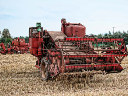 Сбор урожая в Астраханской области продолжается несмотря на холод