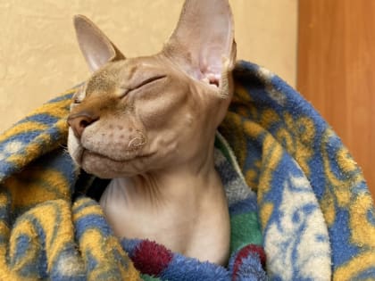 В Астрахани стартовал отопительный сезон