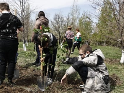 Астраханские школы вышли на субботник