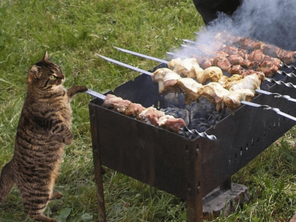 В России предложили удлинить майские праздники с 1 по 9 мая