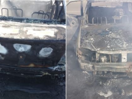 В астраханском селе огонь уничтожил автомобиль