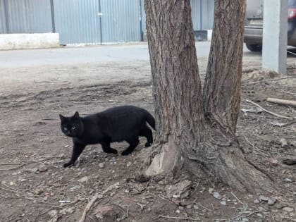 Погода, праздники, именины в понедельник 25 марта
