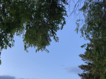 11 июня в Астрахани будет тепло, но ветрено