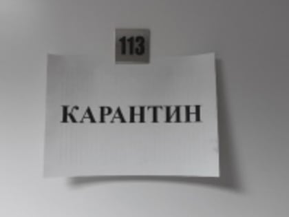 В Астраханской области обнаружено 3 факта африканской чумы свиней 