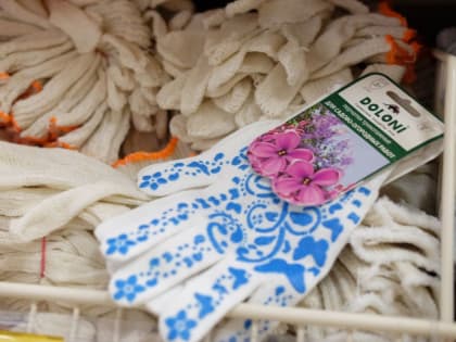  Надо ли обеззараживать покупные семена перед посевом 