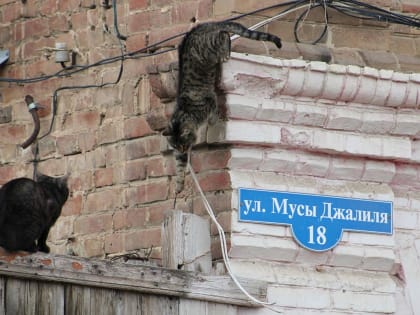 Установлен ли новый температурный рекорд в Астрахани 