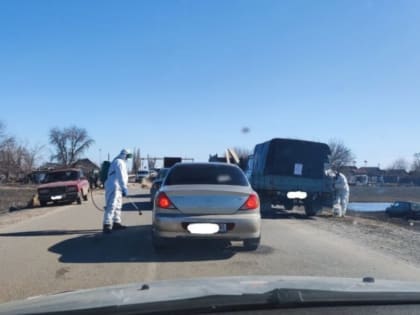 Информация о вспышке ящура в Астраханской области оказалась фейковой