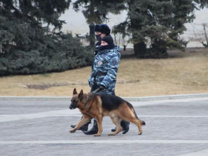 Подозреваемые сопротивлялись. В Астрахани полиция задержала еще двоих мужчин по делу о жестком избиении девушек в кафе 