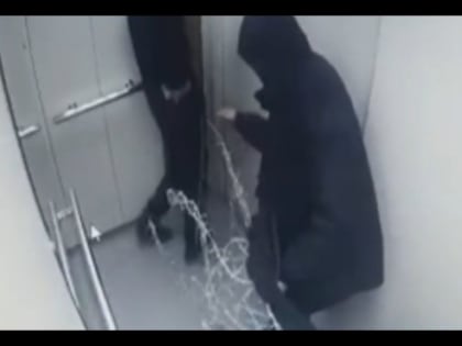 В Астрахани влюбленные украли новогоднего оленя