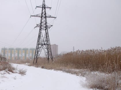 Рядом девятиэтажка. Репортаж с пустыря, где собаки съели человека в Астрахани 