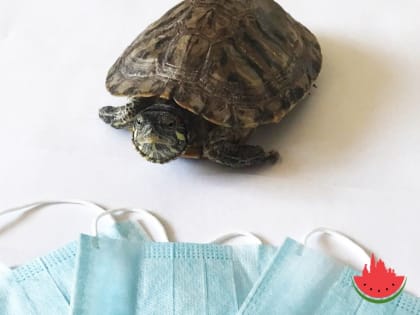 Эпидемия гриппа в Астрахани пошла на новый виток