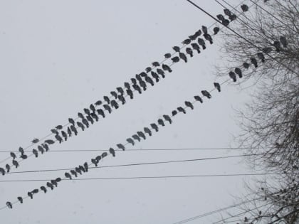 Снег зачастит в Астрахани