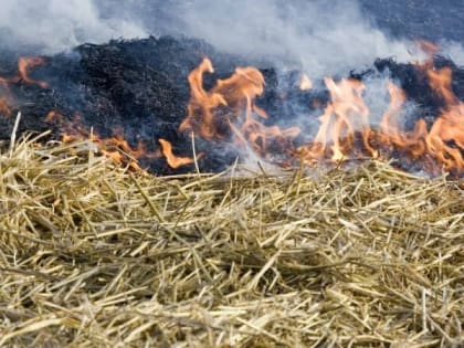 В Астраханской области сохраняется чрезвычайная пожароопасность