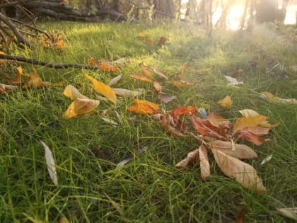 В Астраханской области 17 октября усилится ветер