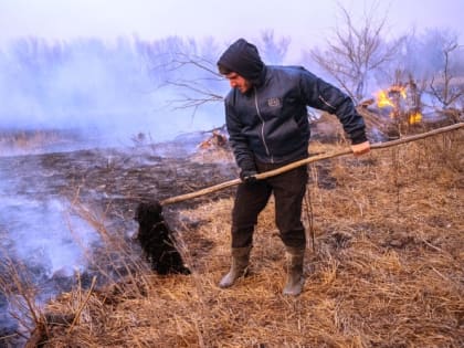 Длившийся трое суток на Обжоровском участке Астраханского заповедника пожар ликвидирован