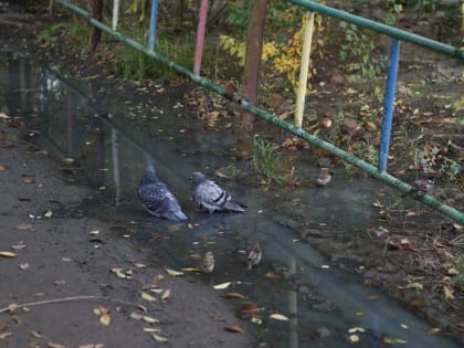 Астраханских коммунальщиков оштрафовали за прорыв канализации