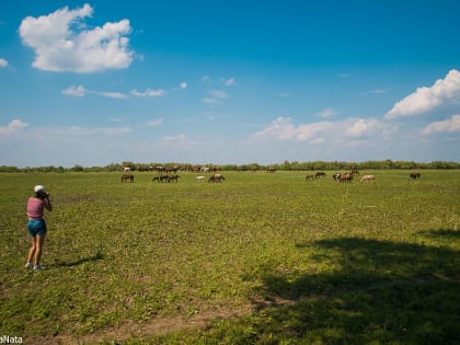 Чиновница из Ахтубинска пойдет под суд за махинации с землей
