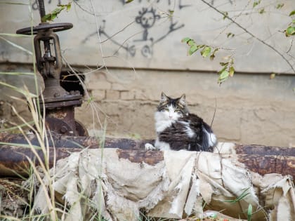 В Астрахани за ЖКХ отдают меньшую часть зарплаты, чем в других регионах