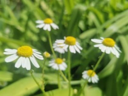 Метеоролог сделал прогноз на май в&nbsp;Астраханской области