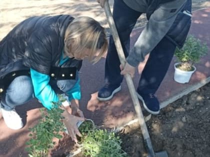 Всемирный день хосписной помощи: важность паллиативного ухода в 2024 году