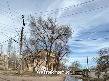 Астраханцы указали на бездорожье и&nbsp;горы мусора у&nbsp;двух областных больниц