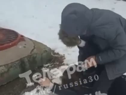 Полиция прокомментировала инцидент с избиением школьницы в Астрахани