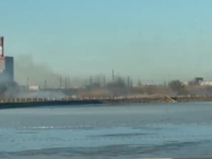 Под Астраханью в селе Кулаковка горит камыш на 800 квадратных метрах