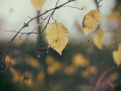 В Астрахань идет резкое похолодание