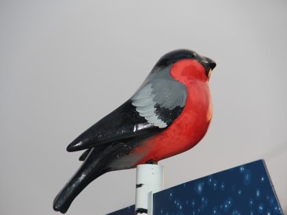 Куда сходить астраханцам в дни новогодних каникулах бесплатно